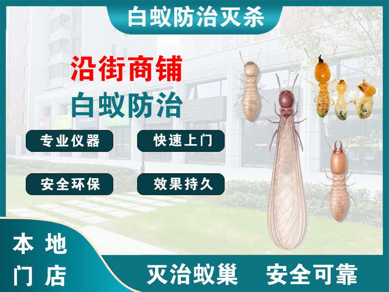 建湖沿街商铺白蚁防治
