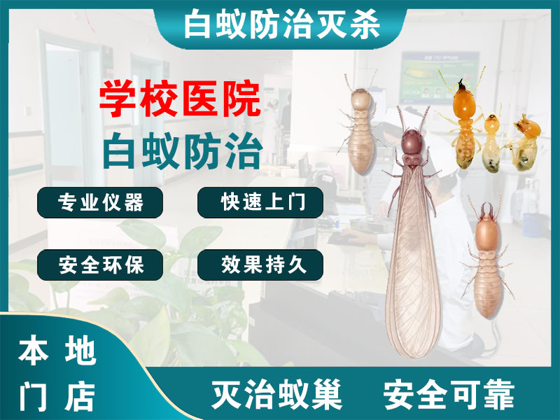 建湖学校医院白蚁防治