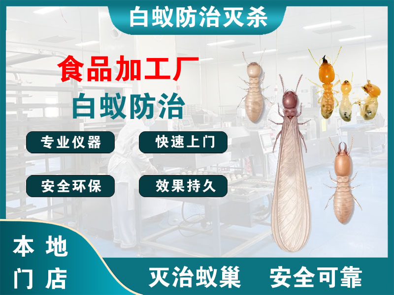 建湖食品加工厂白蚁防治