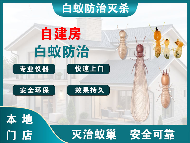 建湖自建房白蚁防治