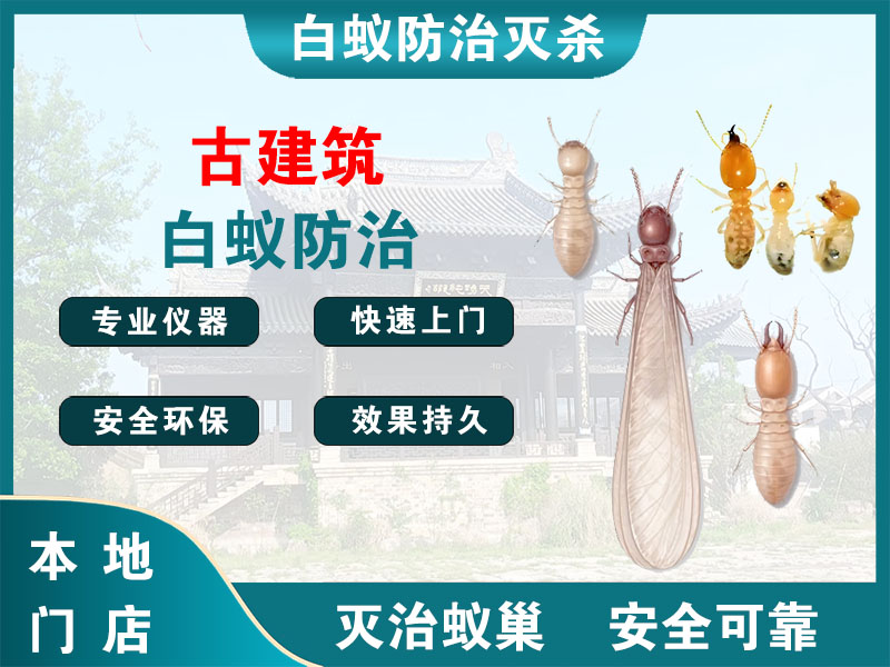 建湖古建筑白蚁防治
