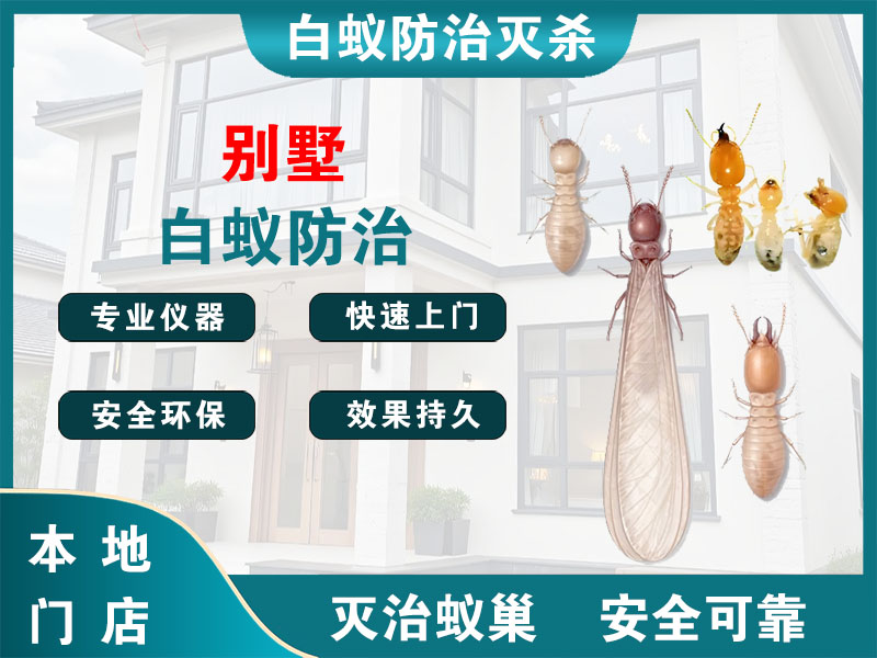 建湖别墅白蚁防治