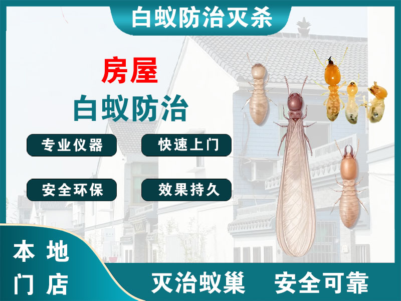 建湖房屋白蚁防治